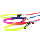 Rainbow Cat Collar & Leash